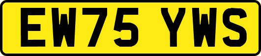 EW75YWS