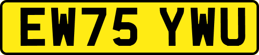 EW75YWU