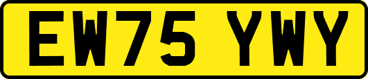 EW75YWY