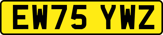EW75YWZ