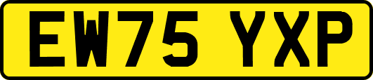 EW75YXP