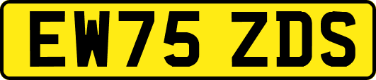 EW75ZDS