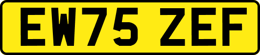 EW75ZEF