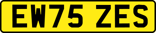 EW75ZES