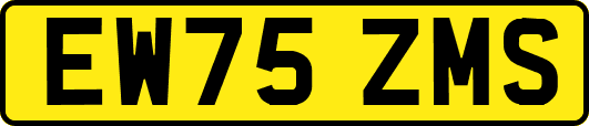 EW75ZMS