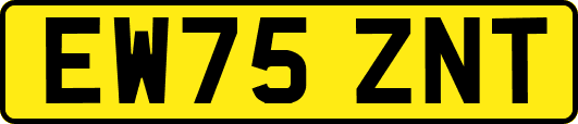 EW75ZNT