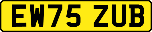 EW75ZUB