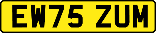 EW75ZUM