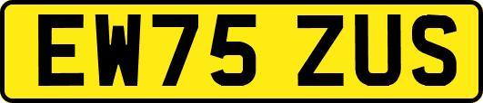 EW75ZUS
