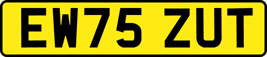 EW75ZUT