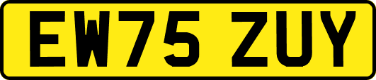 EW75ZUY