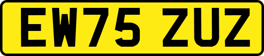 EW75ZUZ