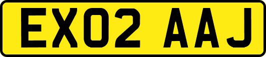 EX02AAJ