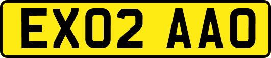 EX02AAO