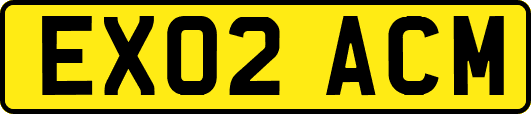 EX02ACM