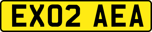 EX02AEA