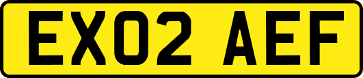 EX02AEF