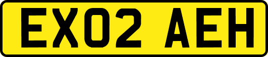 EX02AEH