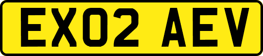 EX02AEV