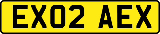 EX02AEX