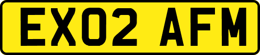 EX02AFM