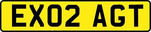 EX02AGT