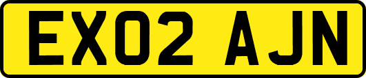 EX02AJN