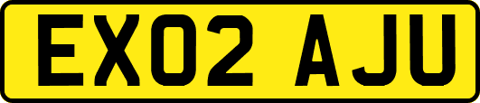 EX02AJU