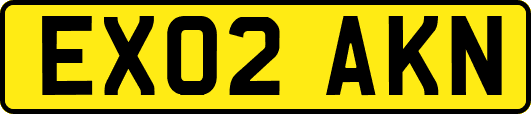 EX02AKN