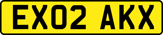 EX02AKX