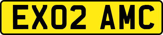 EX02AMC