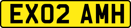EX02AMH