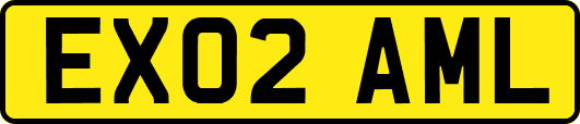 EX02AML