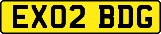 EX02BDG