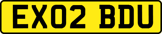 EX02BDU