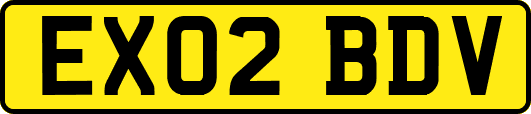 EX02BDV