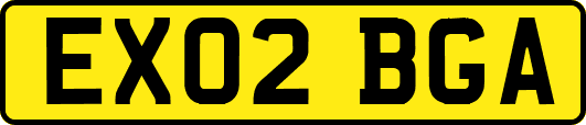 EX02BGA