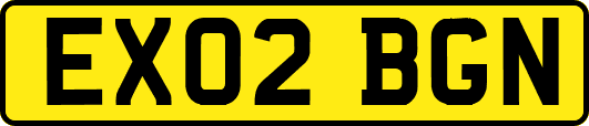 EX02BGN