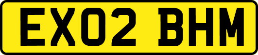 EX02BHM