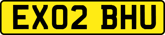 EX02BHU