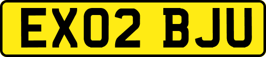 EX02BJU