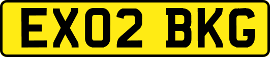 EX02BKG