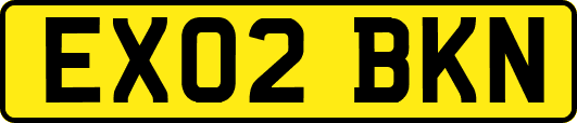 EX02BKN
