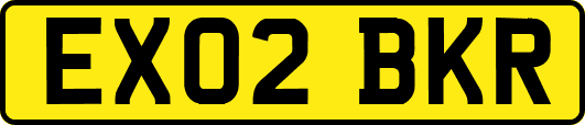 EX02BKR