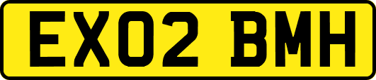 EX02BMH