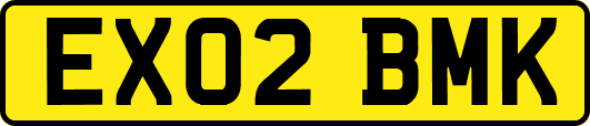 EX02BMK