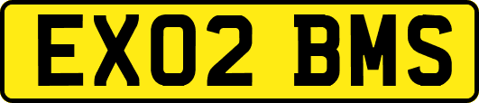 EX02BMS