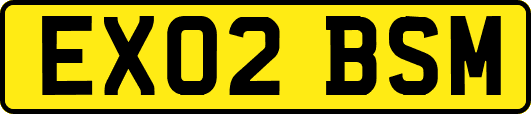 EX02BSM