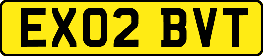 EX02BVT