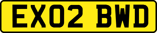 EX02BWD